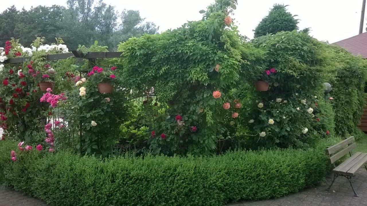 Pokoje Goscinne Rafa Bobolin Zewnętrze zdjęcie